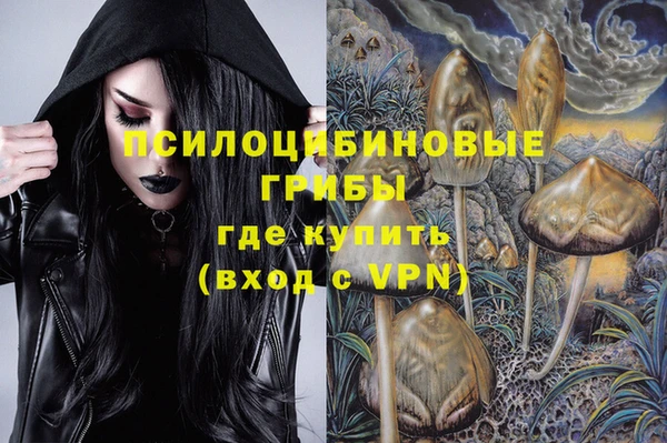 альфа пвп Горняк