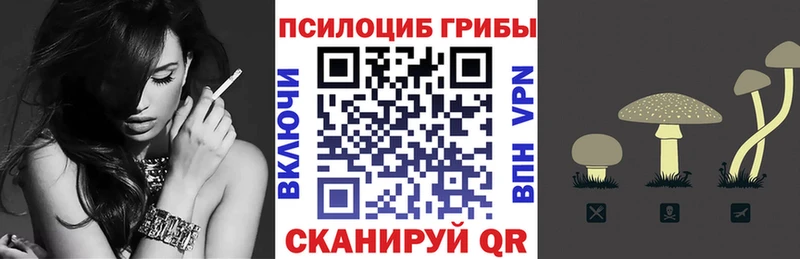 Псилоцибиновые грибы Psilocybine cubensis  купить наркоту  Курильск 